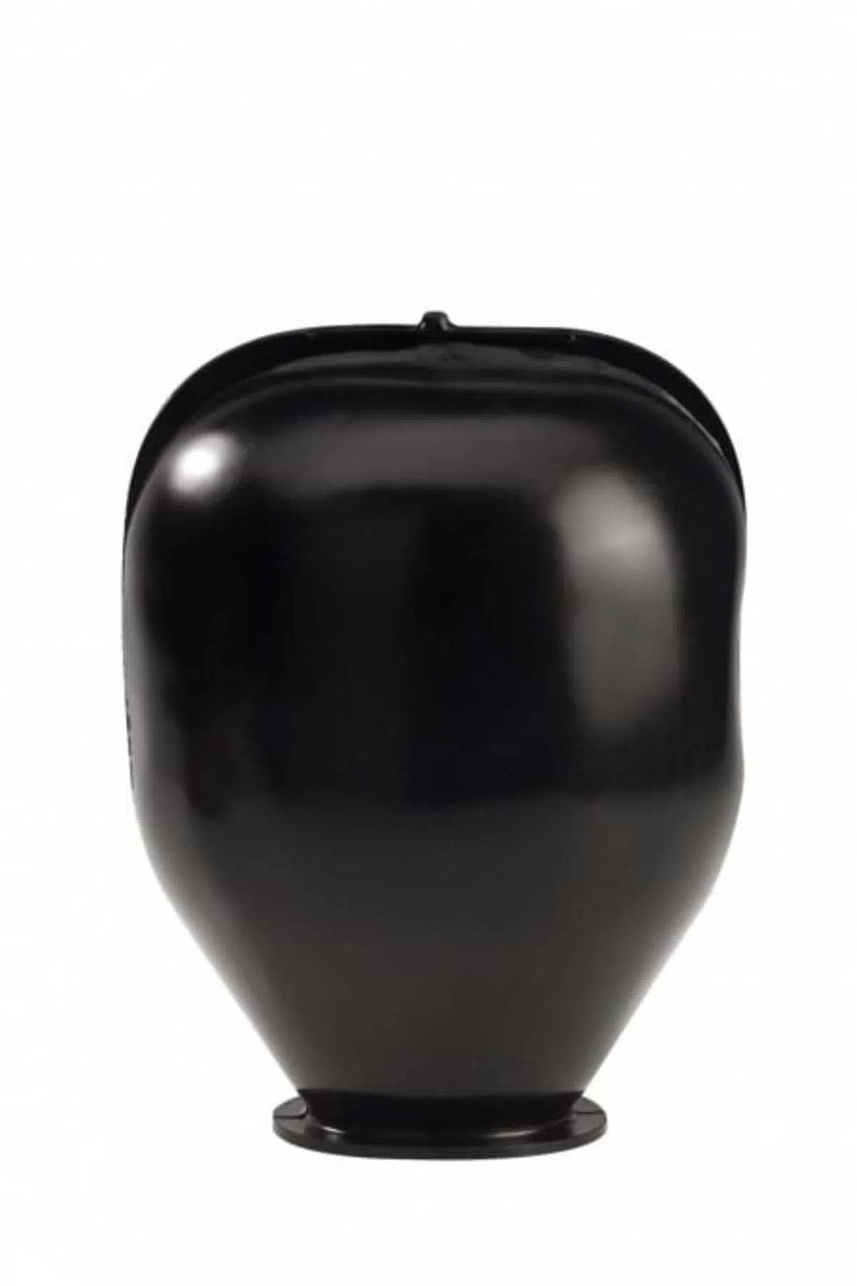 Hidrofor Genleşme Tank Membranı (Kulaklı, Siyah) 24L
